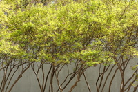 DSC03248