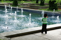 DSC03497-2