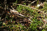 DSC03057