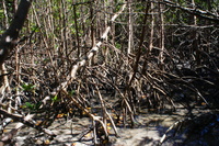 DSC03059