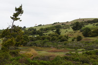 DSC03126