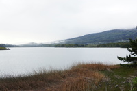 DSC03127