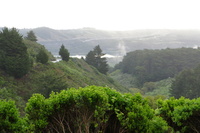 DSC03131