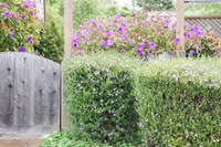 DSC03136