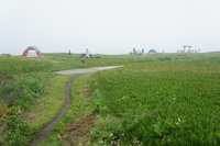 DSC03137