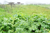 DSC03138