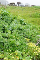 DSC03139