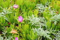 DSC03160