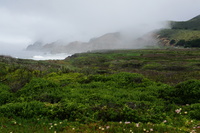 DSC03163