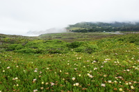 DSC03164