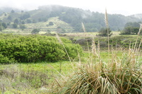 DSC03165
