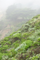 DSC03167