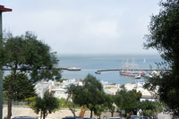 DSC03195