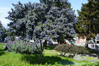 DSC03215