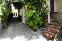 DSC03220