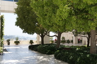 DSC03911