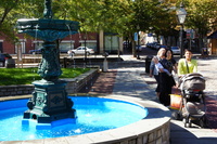 DSC04201