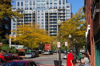 DSC04204