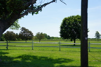 DSC03574