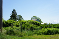 DSC03577