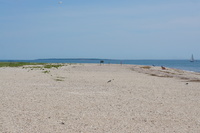 DSC03598
