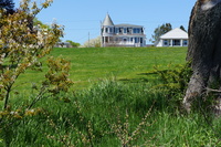 DSC03455