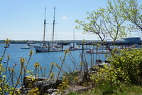 DSC03457