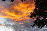 DSC04085