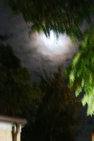 DSC04148