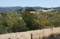 DSC03707