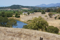 DSC03708