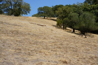 DSC03711