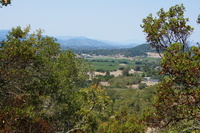 DSC03713