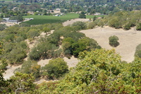 DSC03714