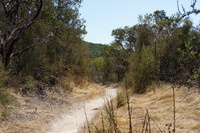 DSC03716