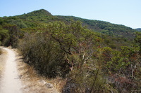 DSC03717
