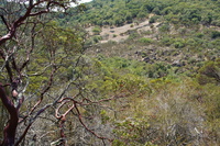 DSC03719