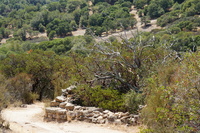DSC03722