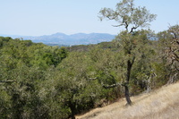 DSC03724