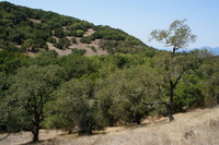 DSC03725