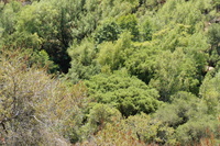 DSC03728