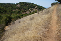 DSC03730