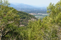 DSC03731