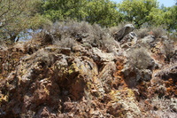 DSC03740