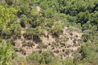 DSC03741