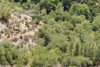 DSC03742