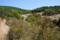 DSC03743