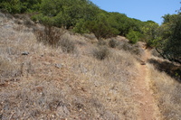 DSC03759