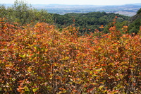 DSC03763