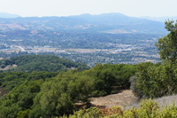 DSC03770